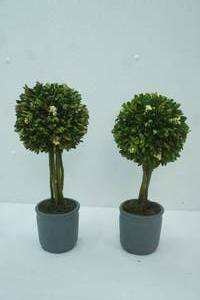 lot 49 image: Artificial Boxwood Ball Topiary 2ct