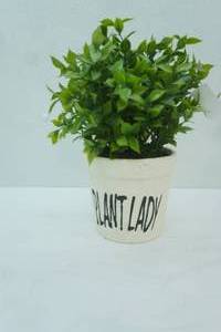 lot 125 image: Plant Lady Artificial Plant