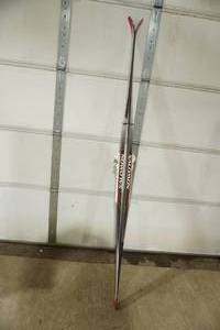 lot 369 image: Salomon Snowscape Skis