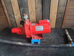 lot 65 image: A Working Red Lion Ground Pump&nbsp