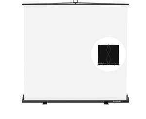 lot 37 image: Raubay Collapsible White Screen