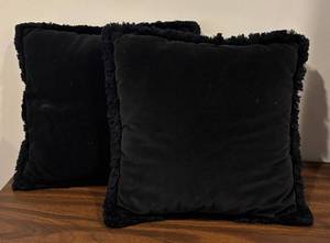 lot 84R image: LL - Two Black Accent Pillows