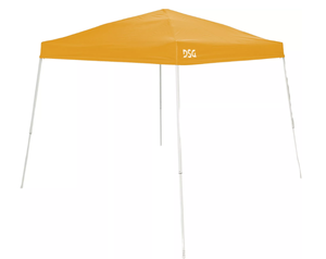 lot 89 image: DSG 10 x 10 Slant Leg Canopy (Used)