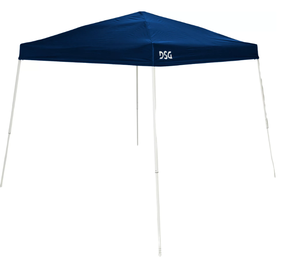 lot 91 image: DSG 10 x 10 Slant Leg Canopy (Used, Missing The Ground Stakes)
