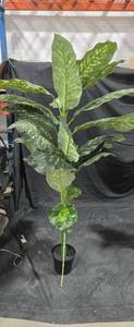 lot 1903 image: Faux Dieffenbachia Plant