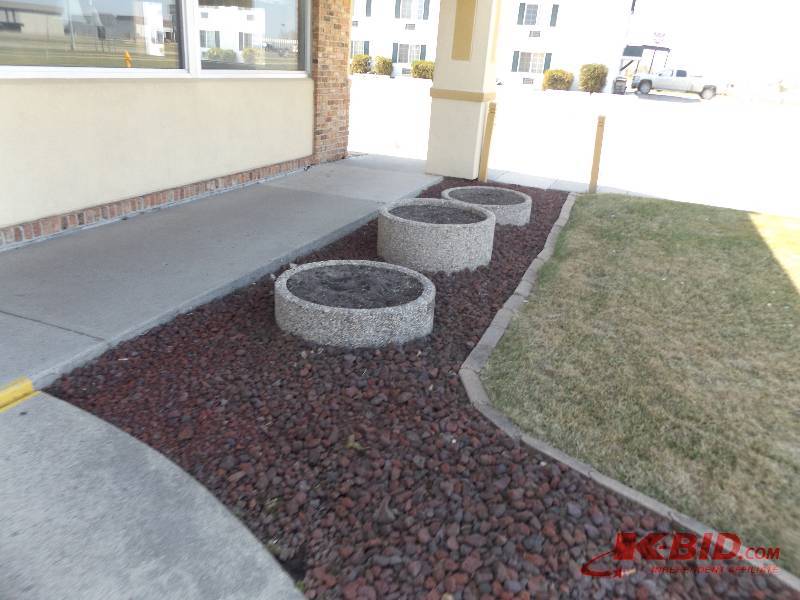3 Cement Planters