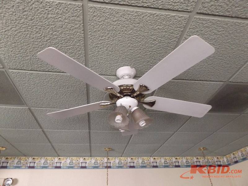 Ceiling Fan
