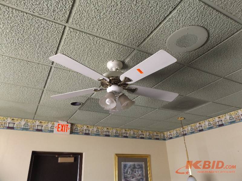 Ceiling Fan