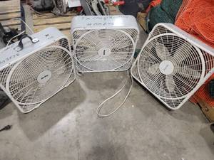 lot 127SK image: Lot of Three Fans (603207)