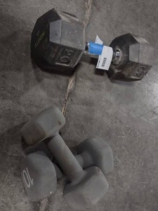 lot 200 image: Set of 10 lb Weights(Embark) Single 20 lb Weight(Ignite)