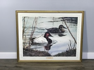 lot 251 image: Framed Print by Willem S. De Beer Canvas Backs