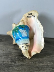 lot 271 image: Conch Shell with Picture of U.S.S MINN-CON Ship - Says Captain David J. Conner & Charles Burnside