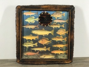 lot 328 image: Epoxied Wooden Clock Frame with Fish Species on the Front  - No clock components