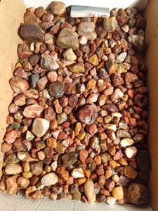 lot 139 image: Flat of agates and more (some as big as 2 inches and 1 polished one 3 14 inches