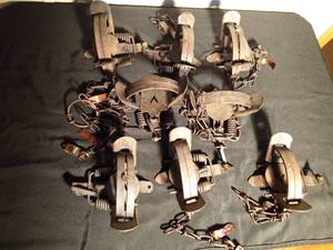 lot 196 image: 8 Victor double spring traps