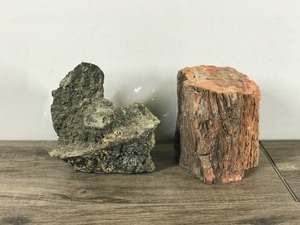 lot 366 image: Petrified Rock & Possible Lava Rock
