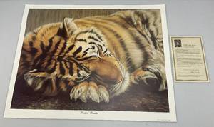 lot 132 image: Unframed GAIL ADAMS Sleepin Beauty Tiger Print With COA 23 x 29