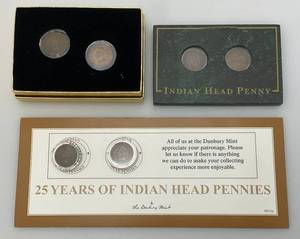 lot 11 image: Misc. Indian Head Pennies In Protective Cases