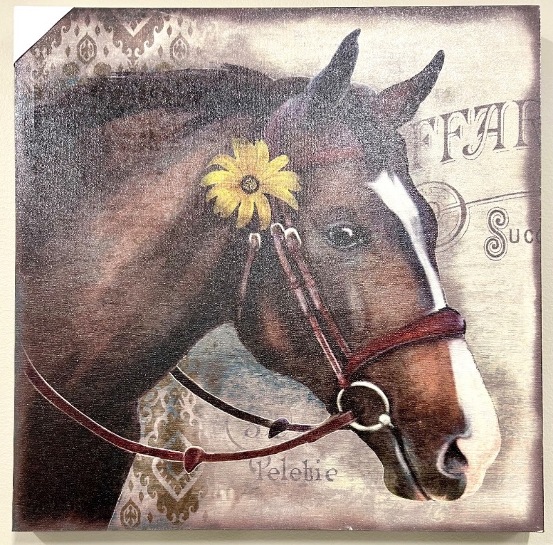 lot 211 image: Horse Head Canvas Art & Yellow Flower in Ear