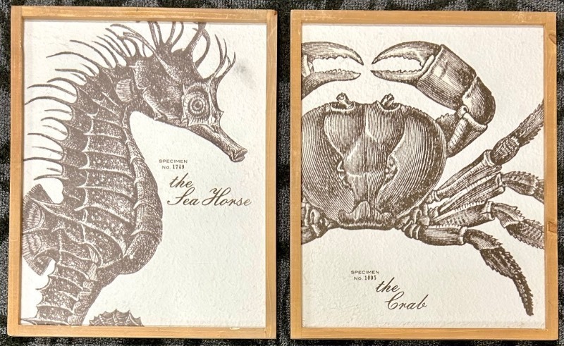 lot 291 image: Sea Horse Specimen No. 1749 & Crab Specimen No. 1005 - Framed Prints