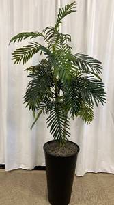 lot 91 image: Artificial Parlor Palm - 60 in Tall in Black Planter