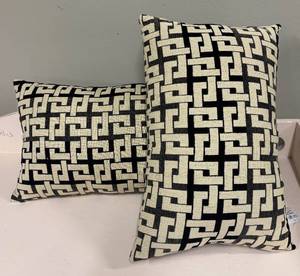 lot 302 image: Two Accent Pillows  - Black & Cream Geometric Pattern