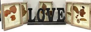 lot 662 image: Pressed Leaf Frames - Set of 5 in Rustic Wood Frames & LOVE Sign