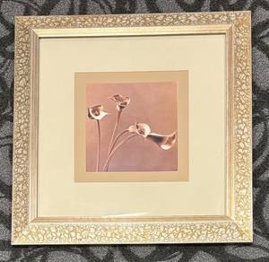 lot 705 image: Sepia Floral Series Print by Jan Gordon