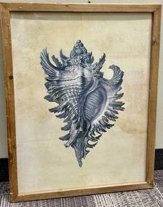 lot 712 image: Conch Shell Art Print - Framed in Natural Wood Frame