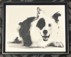 lot 208 image: Framed Black & White Dog Portrait 17 x 21 in