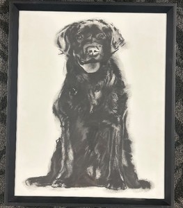 lot 214 image: Framed Labrador Retriever Portrait - 17 x 21 in