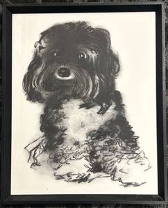 lot 233 image: Framed Black & White Dog Portrait - Charcoal Sketch 17 x 21 in