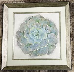 lot 275 image: Framed Succulent Art Print 22 x 22 in