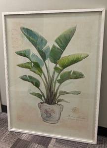 lot 290 image: Framed Botanical Plant Print - 36 in x 48 in Wall Art