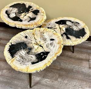 lot 935 image: Petrified Wood Slices Coffee Table - 3-Tier, Top 32 x 20 in