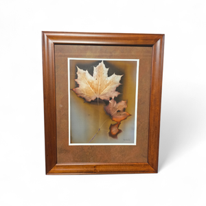 lot 116 image: Framed Artwork