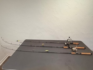 lot 29 image: &nbspSet of 3 Lightweight Freshwater Spinning Rod &amp Reel Combos - Multi-Species Setup