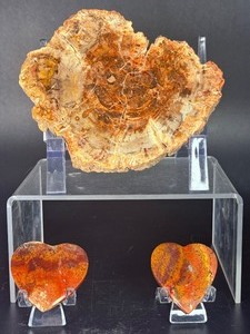 Stunning 3-Piece Polished Madagascar Petrified Wood Display Set. (12.2 oz  348 g)