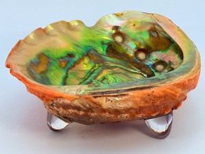 Iridescent Red Abalone Shell - Polished Mother of Pearl Display Piece. (15.7 oz  446 g)