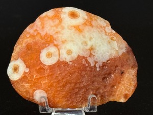 Collectors Grade Gobi Agate with Multiple Distinct Eye Formations. (2.5 oz  72 g)