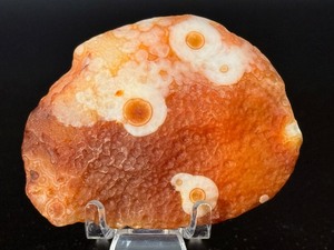 Collectors Grade Gobi Agate with Multiple Distinct Eye Formations. (2.5 oz  72 g)