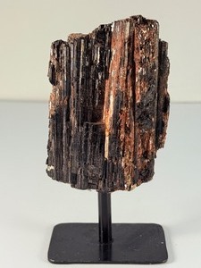 Striking 5.5 Raw Black Tourmaline &amp Golden Mica Specimen on Custom Display Stand. (1 lb 5.5 oz  611g)