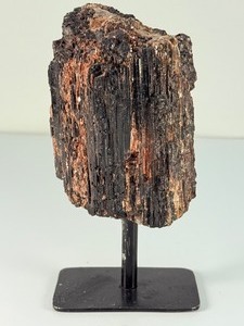 Striking 5.5 Raw Black Tourmaline &amp Golden Mica Specimen on Custom Display Stand. (1 lb 5.5 oz  611g)