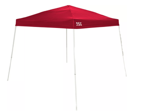 lot 238 image: DSG 10 x 10 Slant Leg Canopy