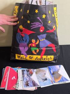 lot 31 image: Assorted Blank Greeting Cards in Mall of America Gift Bag