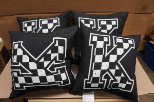 lot 45 image: Set of Four Throw Pillows