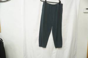 lot 585 image: American Eagle size XL Sweatpants