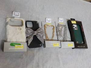 lot 243 image: Jewelry and Phone Cases...