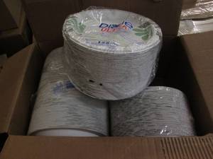 lot 51 image: Case of 500 Dixie paper plates...