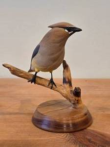 lot 183A image: Cedar Waxwing Perched on a Branch theme by Paul Thompson (891) ##29 Hand Carved Figurine